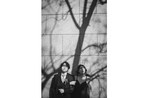 【木漏れ日の魔法】影のラインが描くアートな世界