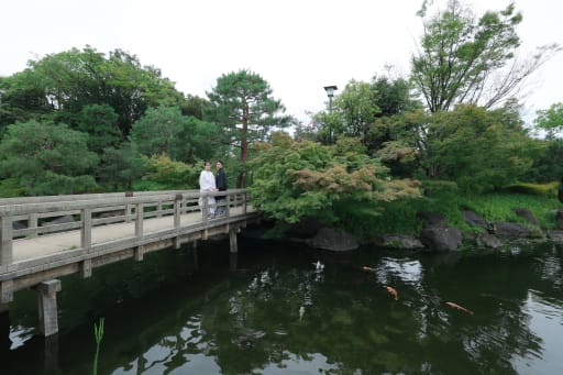 広い池の上で