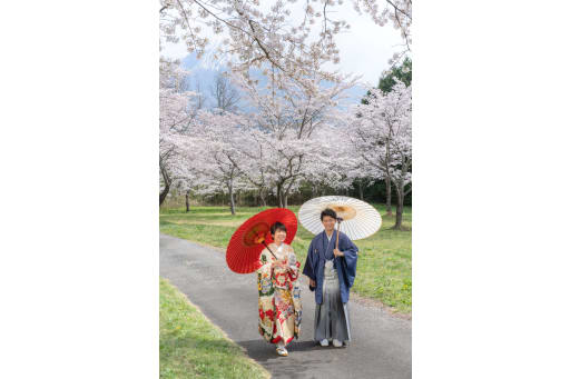 桜の時期は4月中旬頃まで可能です