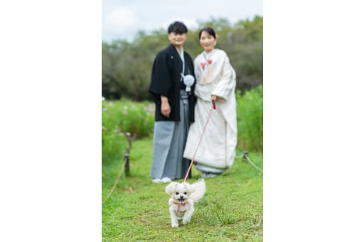 しっぽをフリフリ♪