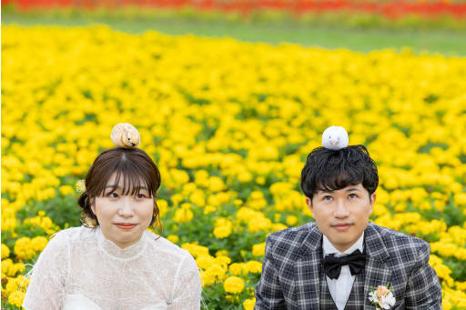 可愛い鳥のぬいぐるみ！