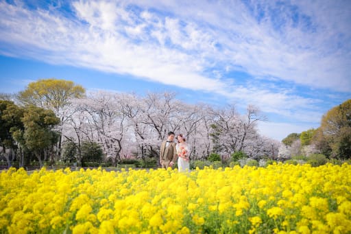 菜の花も