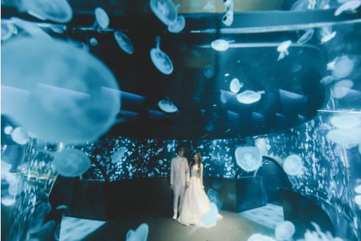 まずは、くらげに包まれた幻想的なカットからスタートです。