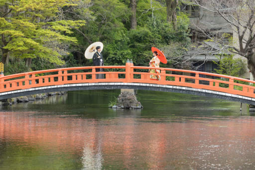 4月から新緑も綺麗