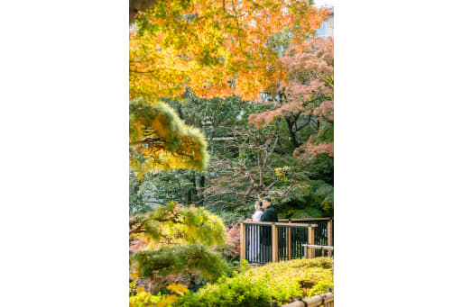 美しい紅葉とお二人に優しい笑顔！