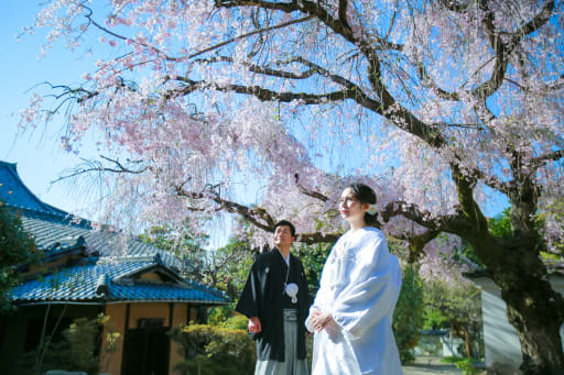 春の京都の萬福寺にて