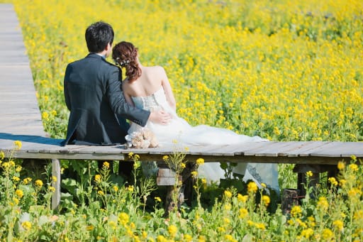 ２ヶ所目は菜の花畑へ