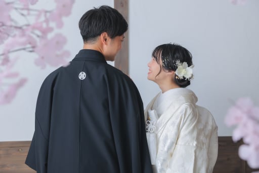 胡蝶蘭