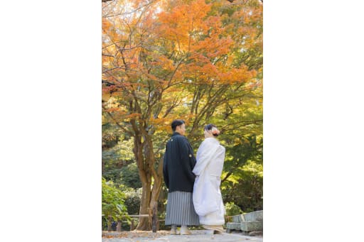 紅葉ロケーション