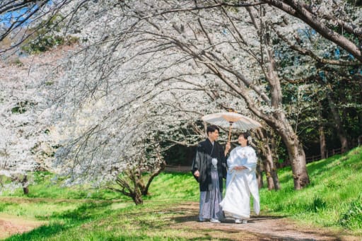 桜のアーチをくぐって♩