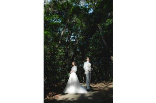 木漏れ日のスポットライト！