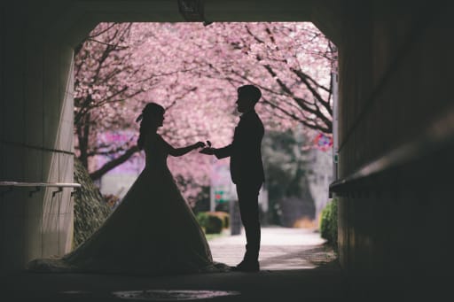 光と影のセレモニー