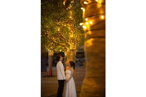 イルミネーション 