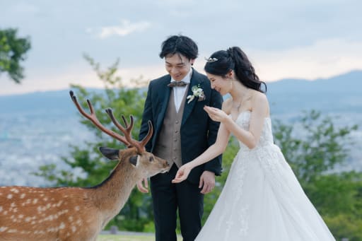 鹿せんべいをあげながら