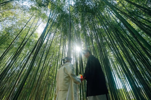 光が差し込んで