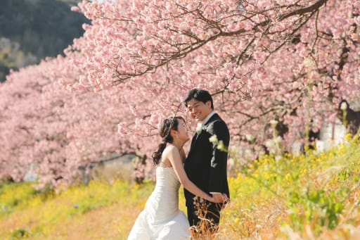 河津桜は2月から咲くとても開花が早い桜です