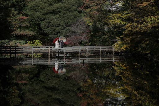 カッコ良すぎる橋