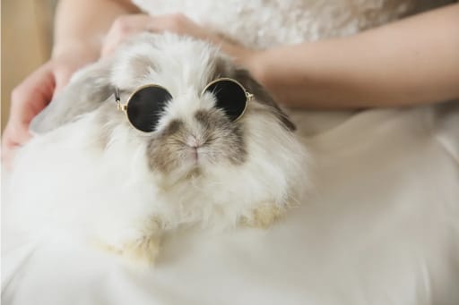 主役。