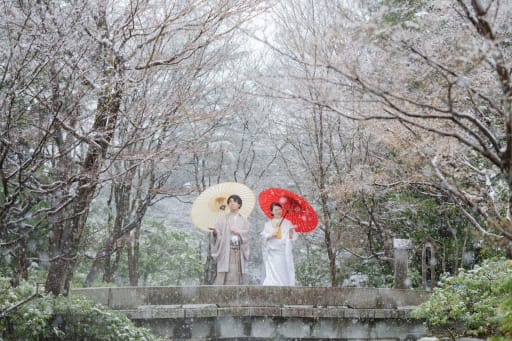 春に降った雪