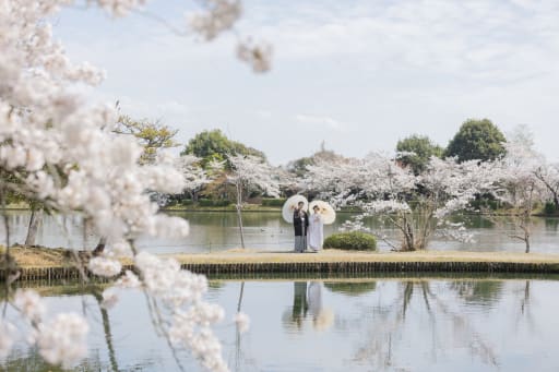   池の向こう岸