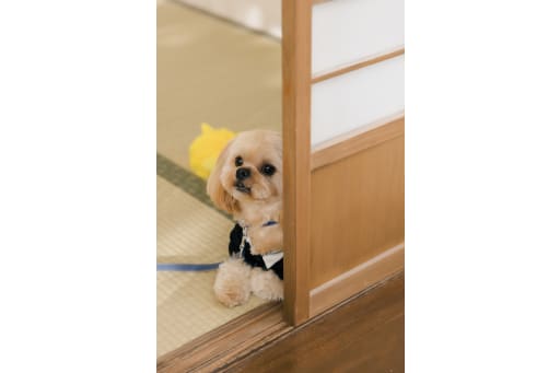 じーー👀