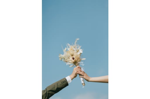 21st Century Forest Park