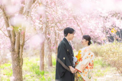 枝垂れ桜に囲まれて