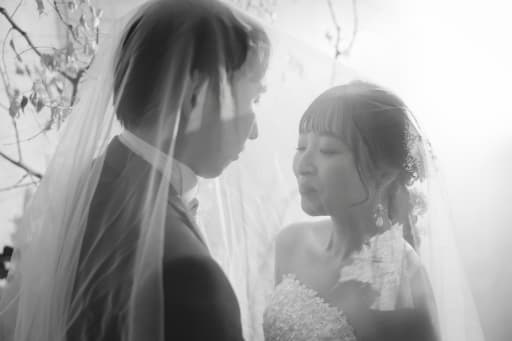 ベールの向こうの二人