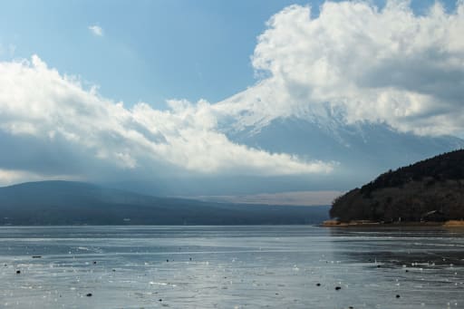 この日は、晴れたり曇ったりの日でしたが、曇りでも素敵な光が差し込んでました。