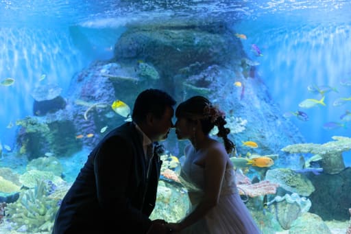 海の世界へ！品川水族館ロケーション！ | デコルテフォトグラフィー