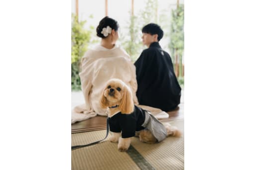 ちょこん