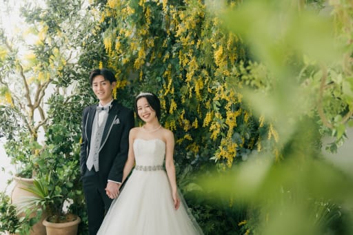 ミモザ×グリーン🌿