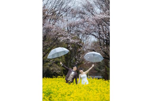 透明な傘に映る雨の日だけの特別な笑顔