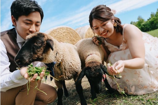 ひつじと一緒に