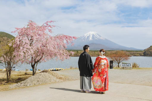 富士山＋枝垂れ桜の絶景で
