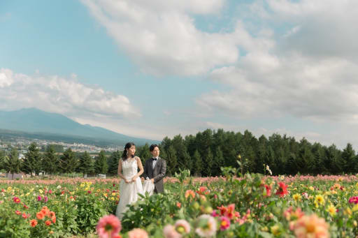 美瑛店からも車で20分でこんなに素敵なお花畑があります