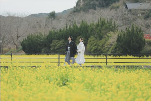 二箇所目は菜の花畑