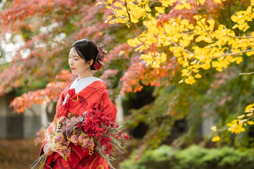 イチョウと紅葉のコラボ。