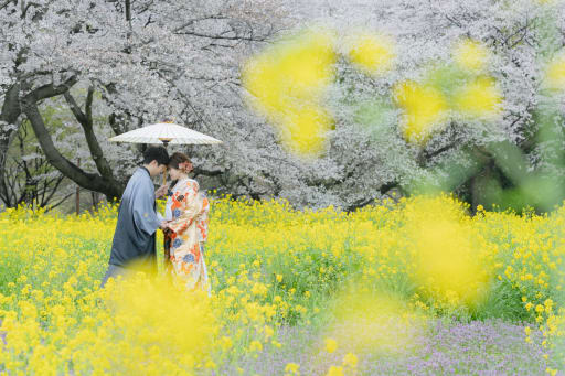 菜の花と桜と