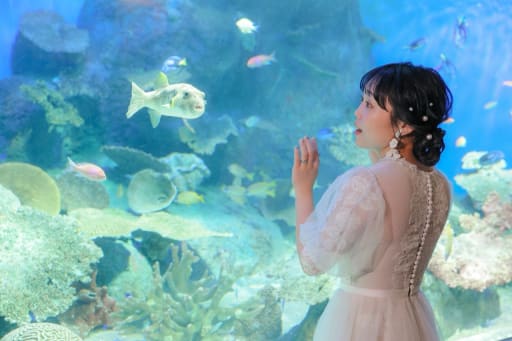 目と目が合って