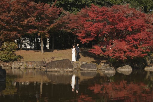 紅葉とコントラスト