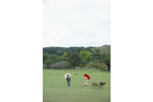 広い景色を入れて