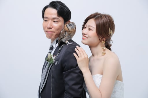 実はフクロウさんと一緒でした＾＾