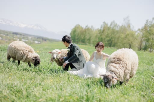 今年も撮影開始しました！＾＾