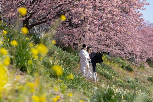 菜の花と一緒に