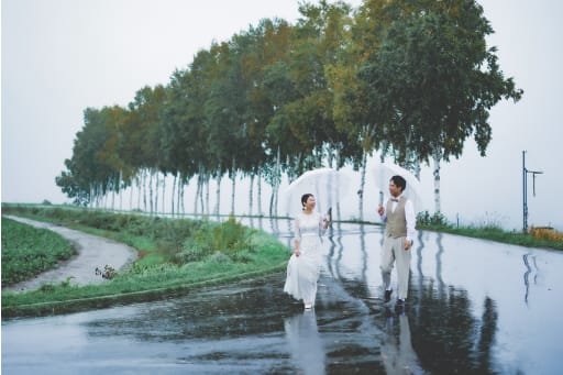 雨の路