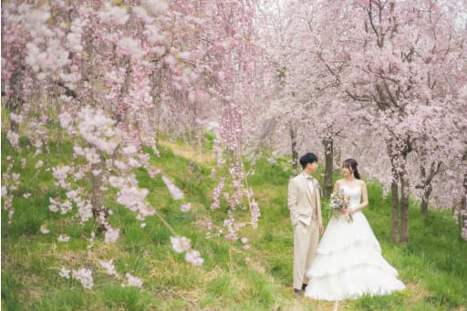 飯綱山ロケーション