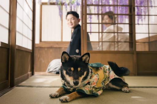 畳って私のために用意したの？