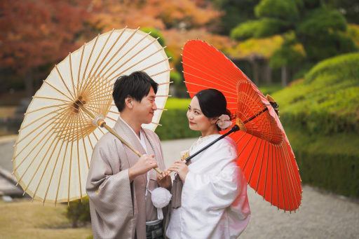見どころ。