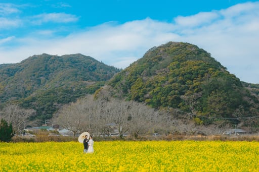 菜の花畑